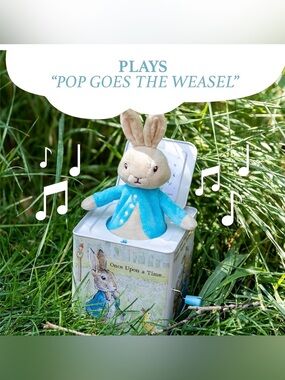 PETER RABBIT - music 🎶 box, windup WORKS!